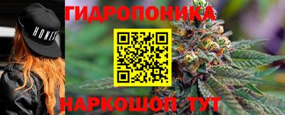 2c-b Аргун