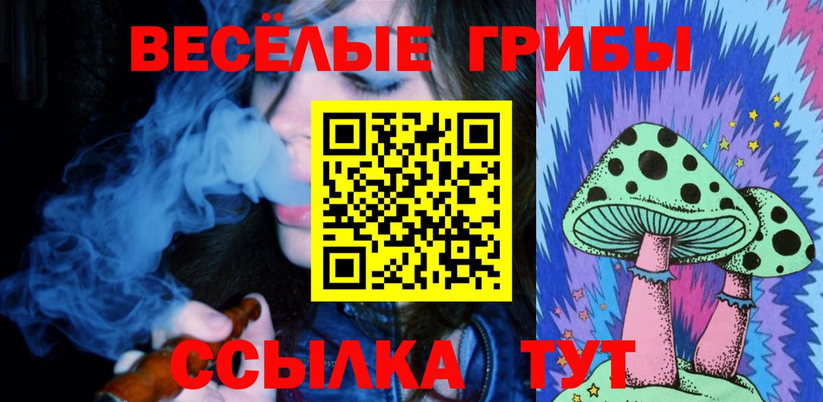 Галлюциногенные грибы Psilocybine cubensis  Вход с VPN  где купить наркоту  Ачхой-Мартан 