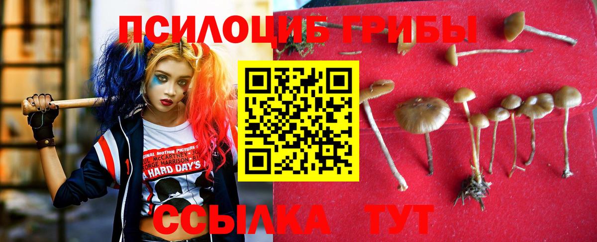 Псилоцибиновые грибы мицелий Ачхой-Мартан